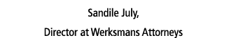 Sandile July, Director at Werksmans Attorneys