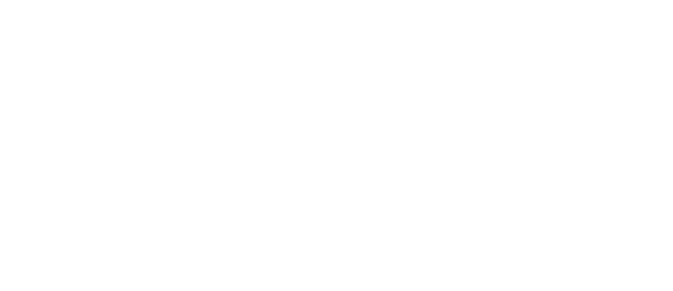 ﻿SA airports promise working travelators, escalators and lifts for the festive season