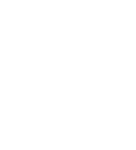 Escalating learnership creating technical and functional expertise